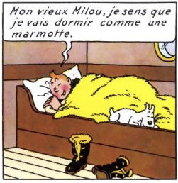 Quiz Tintin