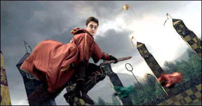 Comment s'appelle la balle que doit attraper l'attrapeur dans un match de quidditch ?