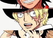 Test Ace ? Sabo ? Luffy ?