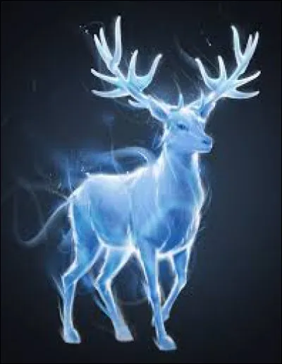 À quoi ressemblerait ton patronus ?