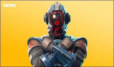 Quel est le nom de ce skin ?