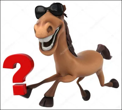 Qu'est-ce qu'un cheval bai ?