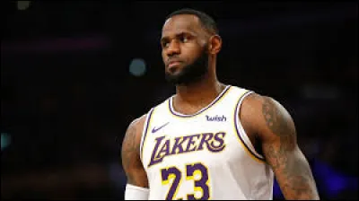 À quel sport joue Lebron James ?