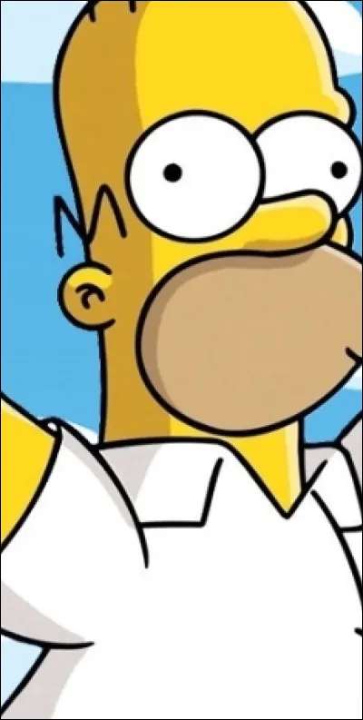 Quel est le métier de Homer ?