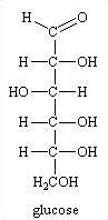 Quiz Sciences