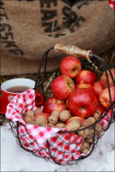 Quelle peut être cette variété de pommes ?