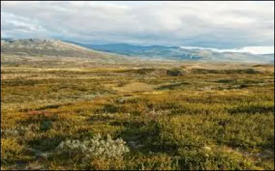 Du côté faune de la faune, cette photo nous montre-t-elle de la taïga ou de la toundra ?