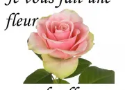 Quiz Fleurs dans tous les domaines