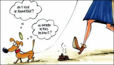 De quel pied doit-on marcher dans les crottes de chien pour que cela nous porte bonheur ?