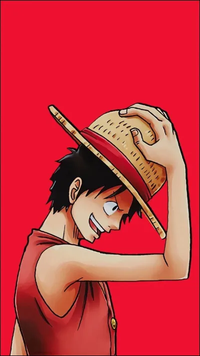 Monkey D. Luffy a mangé le fruit du Gum Gum.