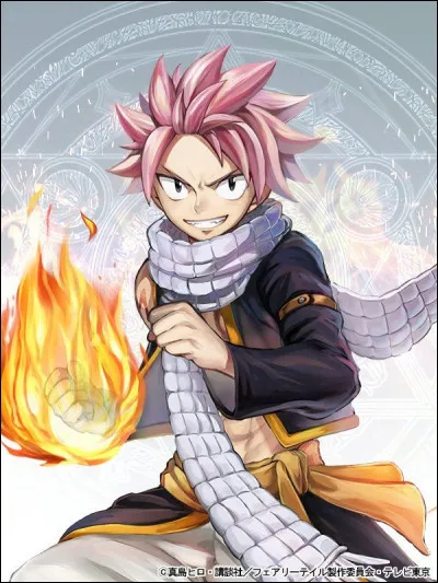 Quel est le plat préféré de Natsu ?