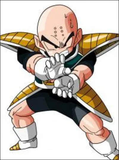 Quel est ce personnage de Dragon Ball ?