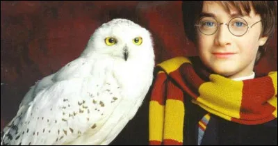 Qui a dit : "J'ai très envie d'un hibou. Harry a Hedwige, toi, tu as Errol..."