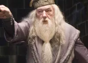 Quiz Albus Dumbledore