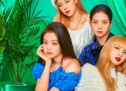 Quiz Connais-tu Blackpink 100% ?