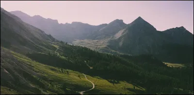 À qui doit-on le roman "L'Appel de la forêt" ?