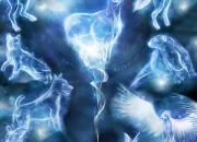 Test Quel serait ton Patronus ?