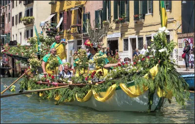 Quelle est la première signification du terme "carnaval" ?