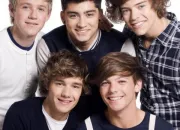 Quiz Connais-tu les 1D par cur ?