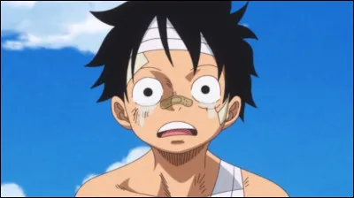 Quel âge a Luffy au début du manga ?