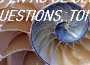 Quiz CG1331  Des questions sans questions !