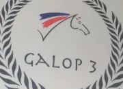 Quiz Galop 3