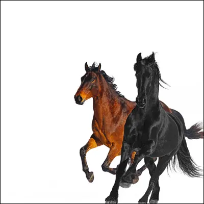 Qui chante "Old Town Road" en 2019 ?