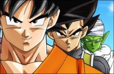 Qui est ton personnage préféré dans ''Dragon Ball'' ?