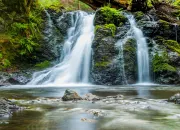 Test Pourrais-tu survivre dans la nature ?