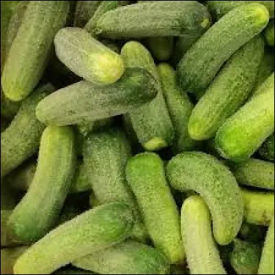 Le nom scientifique du cornichon est le même que celui :