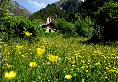 Quel est le genre du mot "après-midi" ?