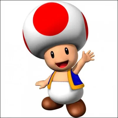 Qu'est-ce que Toad ?