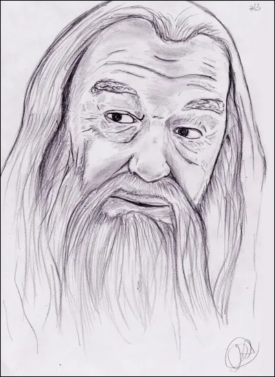 Quel est le nom complet de Dumbledore ?