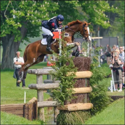 En anglais, ce sport est appellé "country jumping".