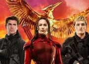 Quiz Hunger Games