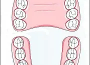 Quiz Quizz sur le brossage des dents - CM1 et CM2