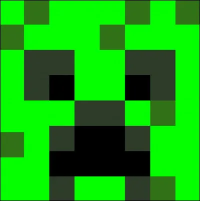 C'est une tête de Creeper.