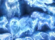 Test Quel est ton Patronus ?