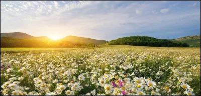 Comment dit-on cette saison fleurie,"le printemps" en allemand ?