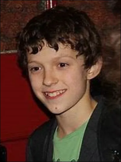 Quelle est la couleur préférée de Tom Holland ?