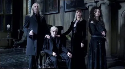 Quel est le lien de parenté entre Narcissa et Bellatrix ?