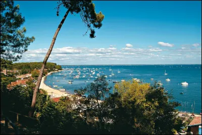 Je suis une des plus importantes stations balnéaires de la côte atlantique, et l'un des plus grands port de plaisance. Mon célèbre bassin, au milieu duquel se trouve "l'île aux Oiseaux", est bordé par la plus grande dune d'Europe. Je suis également connu pour mon activité ostréicole.