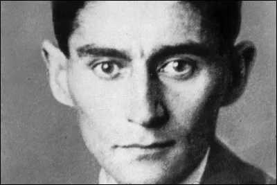 En quoi se transforme le personnage de la nouvelle ''La Métamorphose'' de Franz Kafka ?