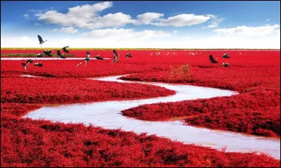 Dans quel pays la couleur rouge porte-t-elle chance ?