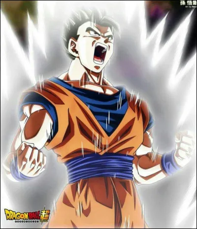 Quelle est la transformation la plus puissante de Gohan ?