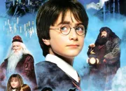 Test Quel personnage de ''Harry Potter'' es-tu ?