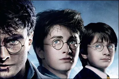 En quelle année est né Harry Potter ?