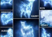 Test Quel est ton Patronus ?