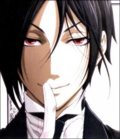 Qui est Sebastian Michaelis ?