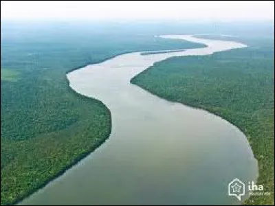 Quel fleuve a le plus gros débit ?